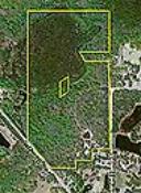 70± Acres in Sumter County! Will sell over the minimum bid of $95,000! 