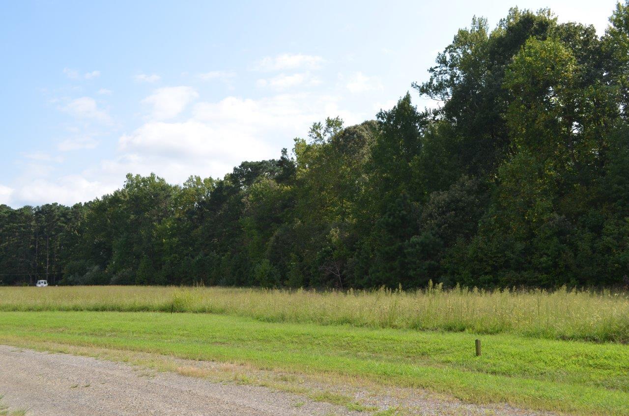 Developer Closeout 2+/ ac Dymer Creek Waterfront Lot FX1913E