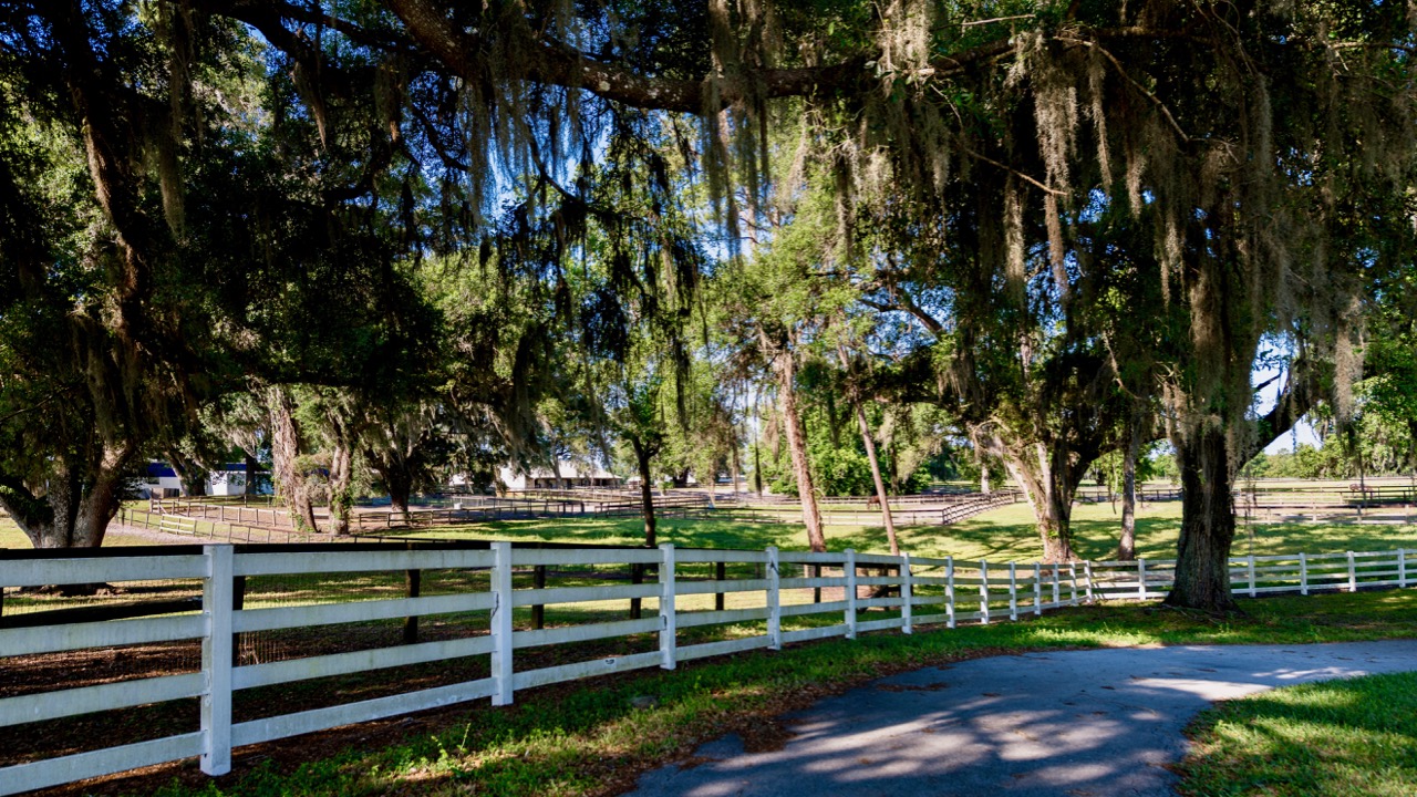Premier 87± Acre Ocala Horse Farm DG1112
