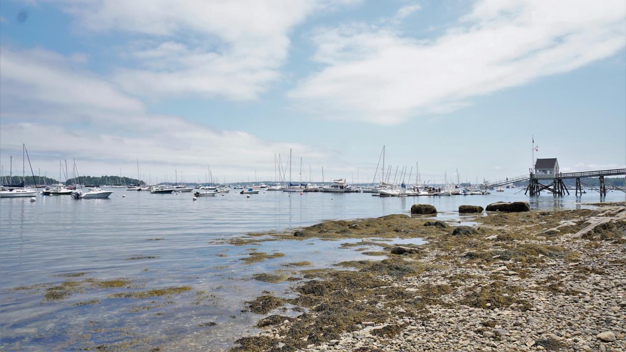 Falmouth Town Landing Neighborhood Waterfront Home AP19052