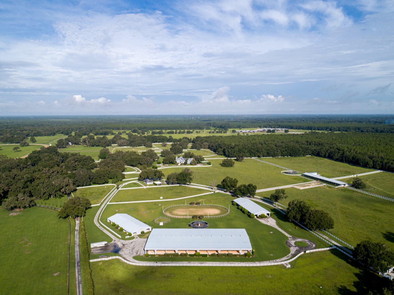 Premier 87± Acre Ocala Horse Farm DG1112