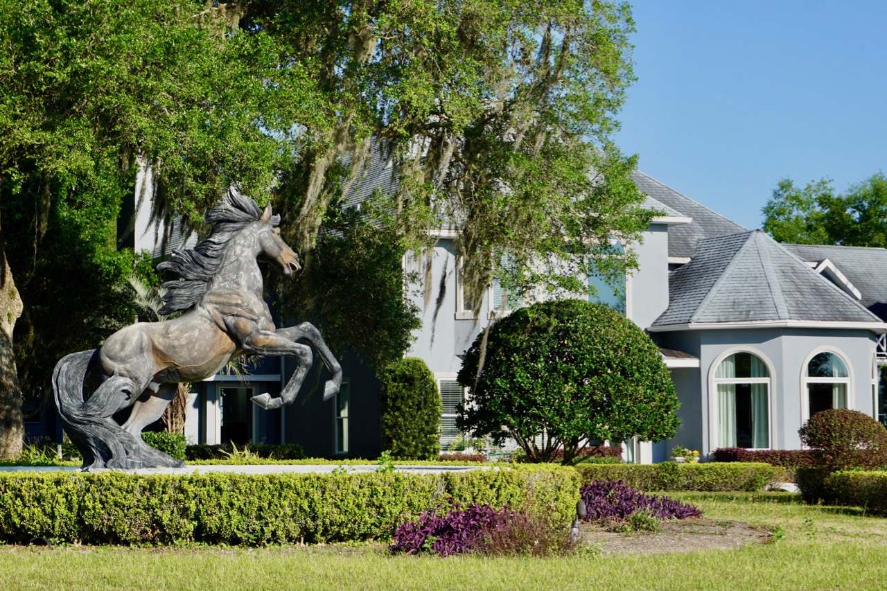 Premier 87± Acre Ocala Horse Farm DG1112