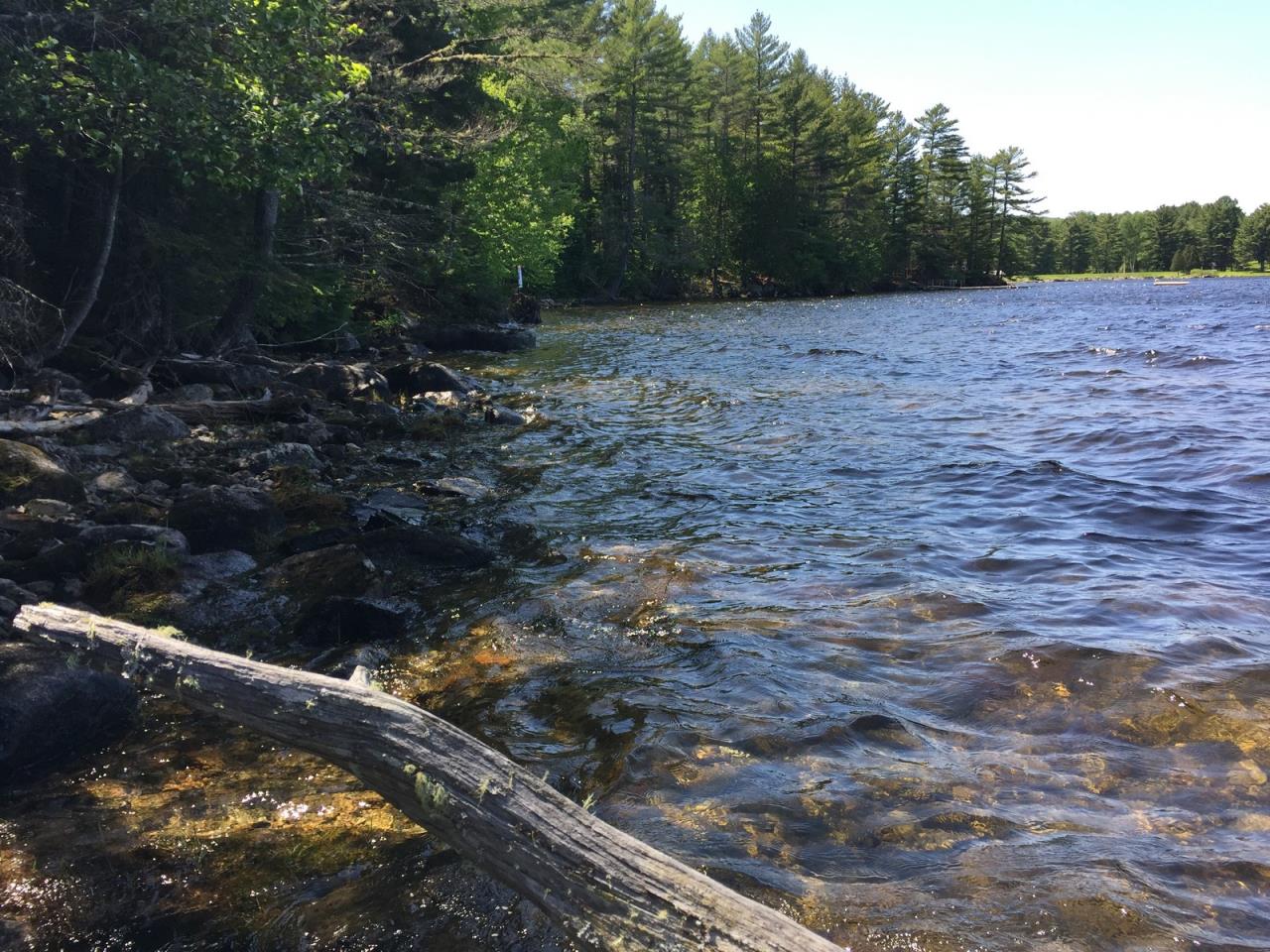 SOLD at auction Waterfront Property Lower Richardson Lake