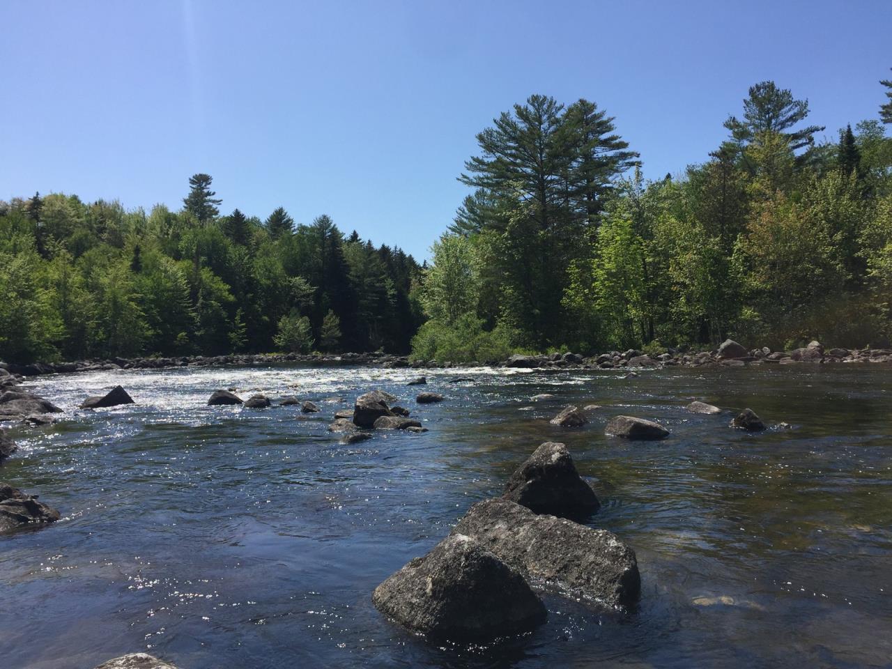 SOLD at auction Waterfront Property Lower Richardson Lake