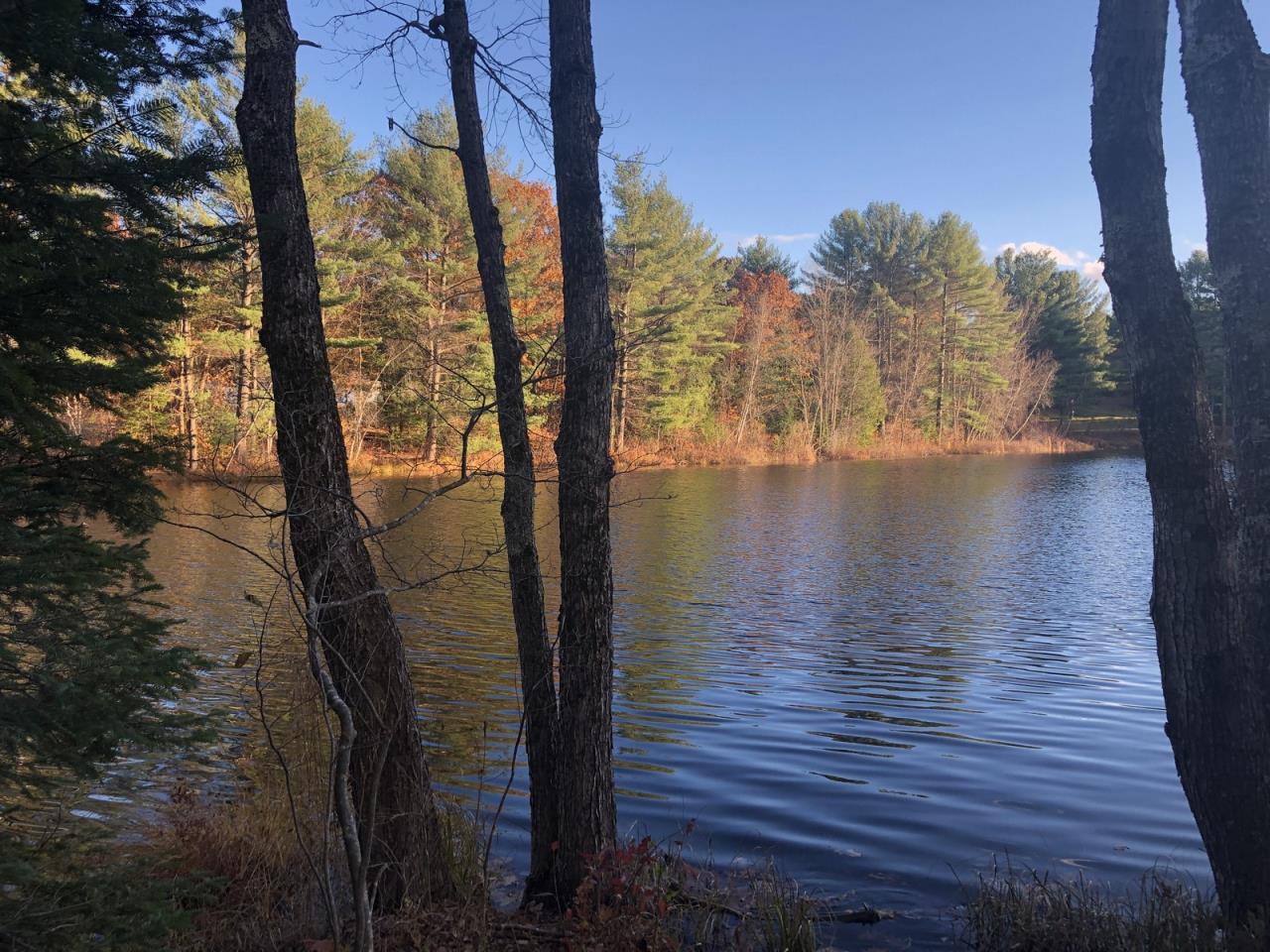 SOLD at auction Land on Willett Brook Bridgton, ME