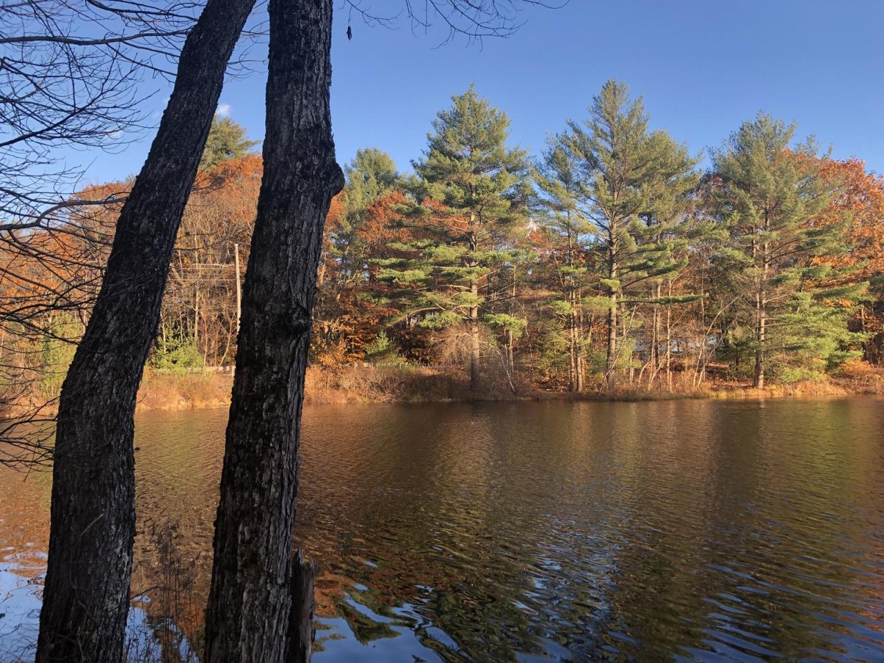 SOLD at auction Land on Willett Brook Bridgton, ME