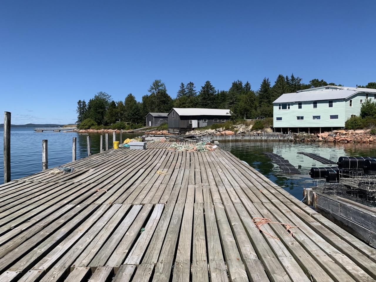 Bunkers Cove Waterfront Wharf, Pier & Pound + Single Family AP202035
