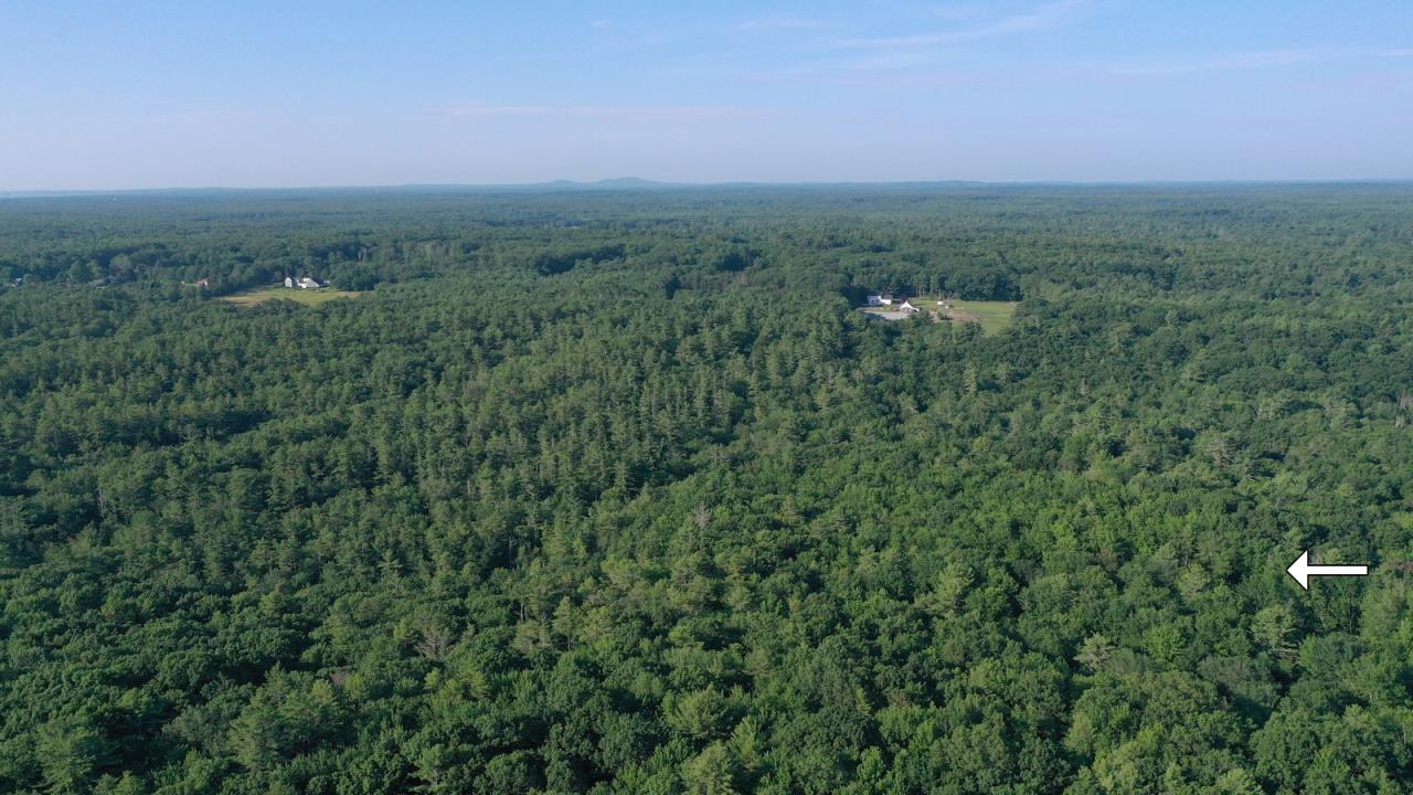 Trustee Sale 40+/ Acre Landlocked Parcel AP210363