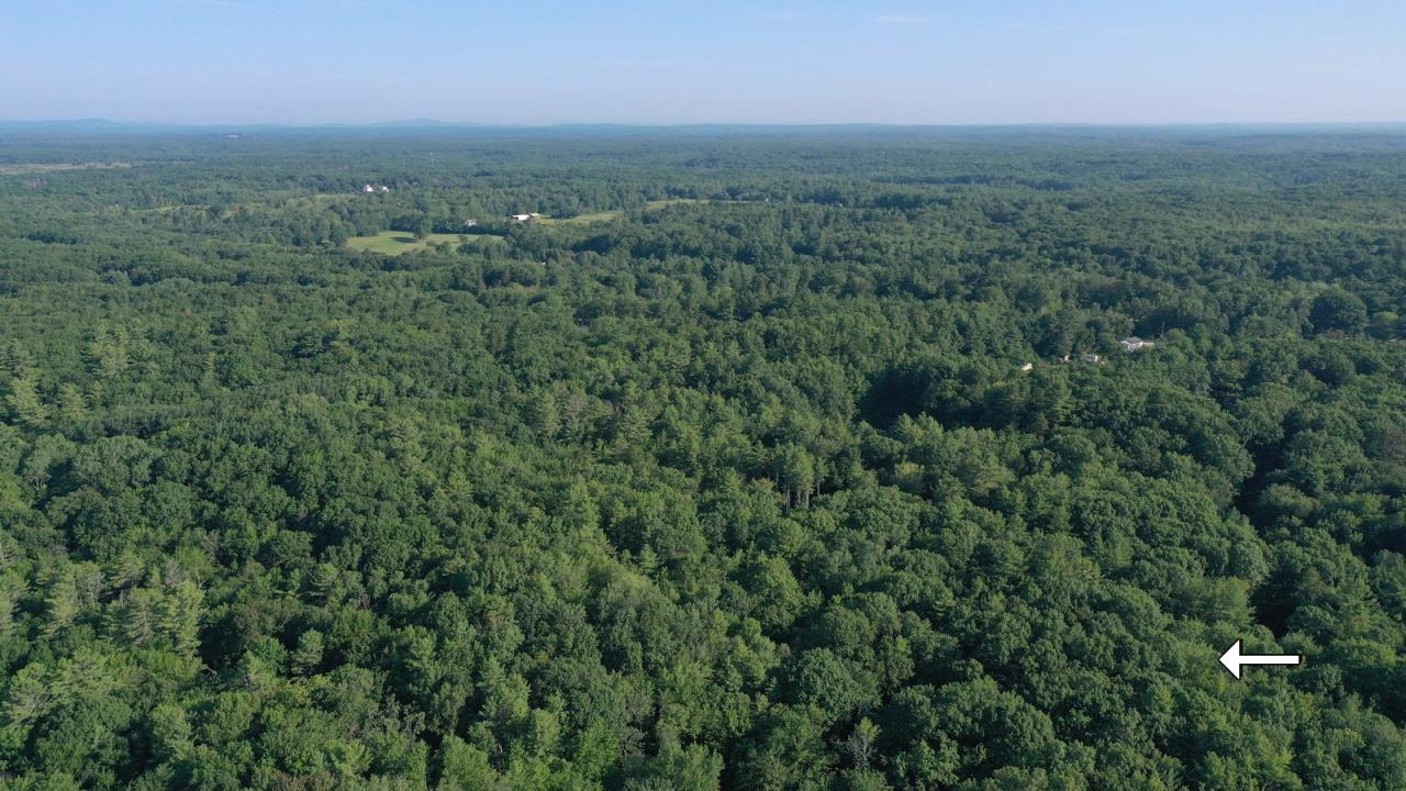 Trustee Sale 40+/ Acre Landlocked Parcel AP210363