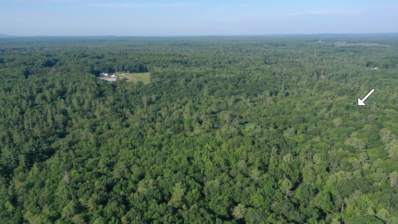 Trustee Sale 40+/ Acre Landlocked Parcel AP210363