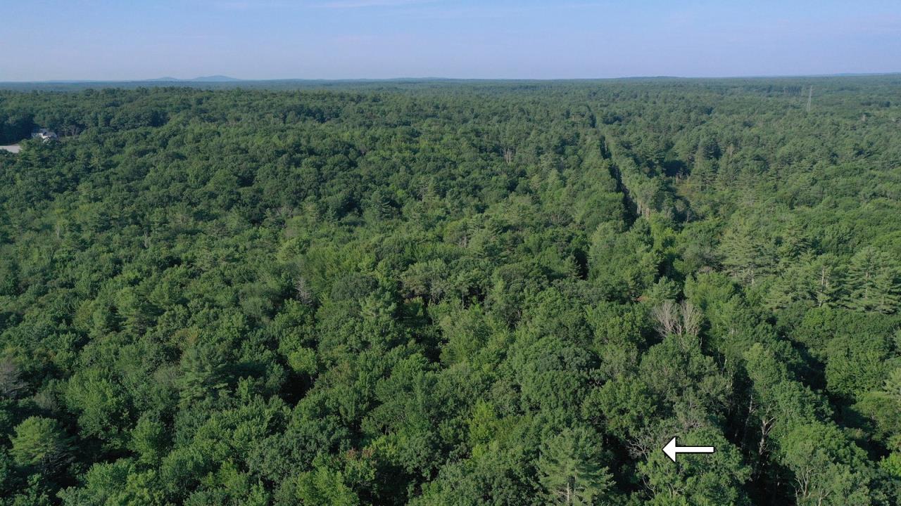 Trustee Sale 40+/ Acre Landlocked Parcel AP210363