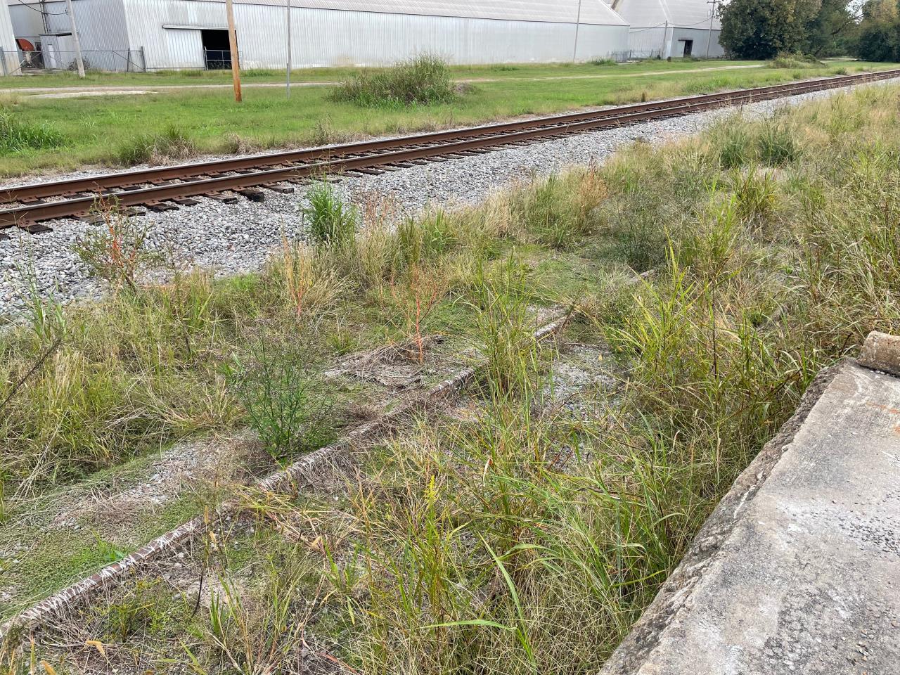 Bankruptcy Sale Industrial Property with Rail Spur TAS2111181