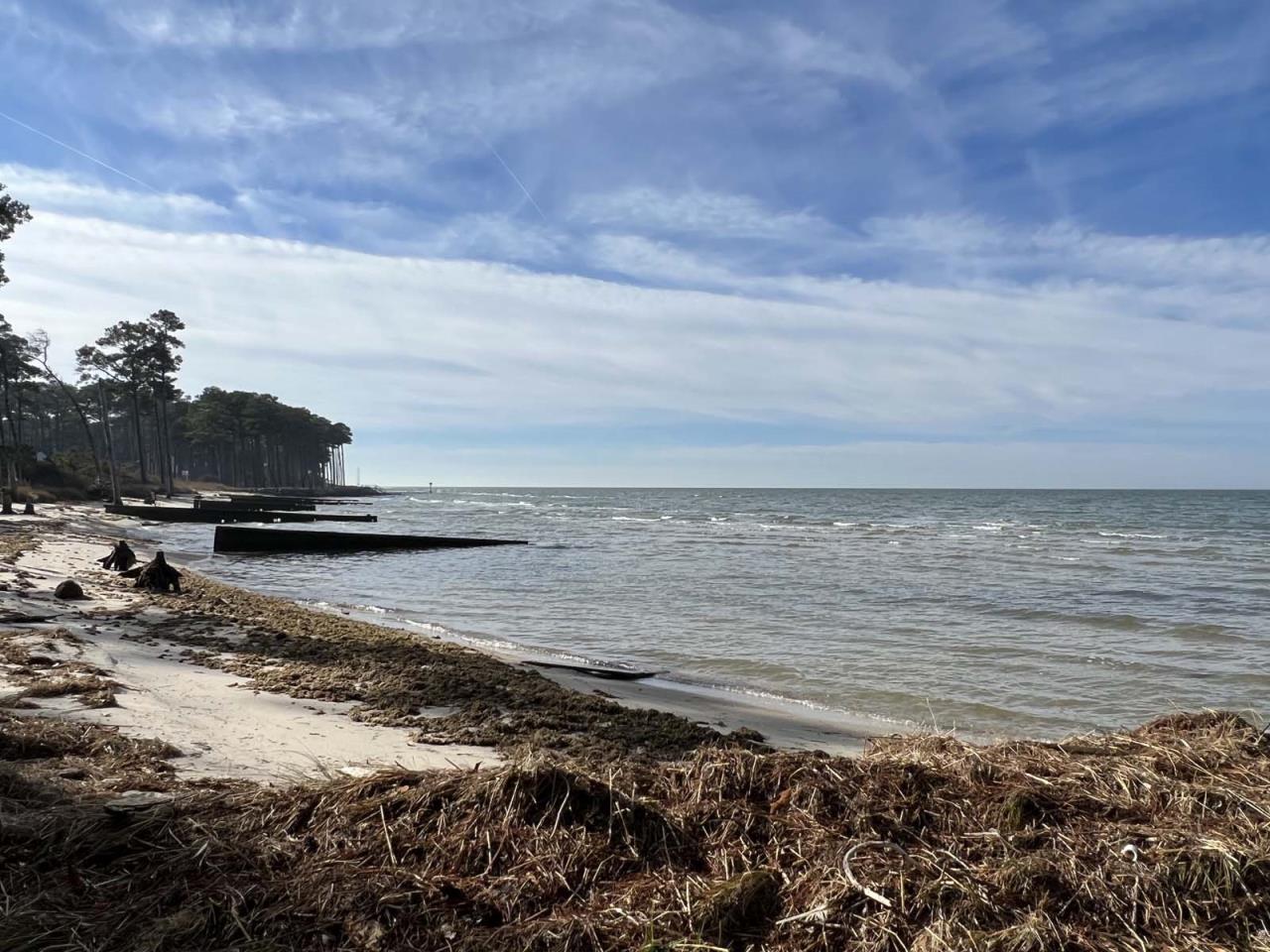 SOLD at auction 8+/ Ac Lot in VA Eastern Shore Beach Community; LOW