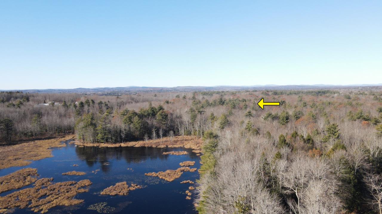 Frost Pond Frontage on 41+ Acres AP23053