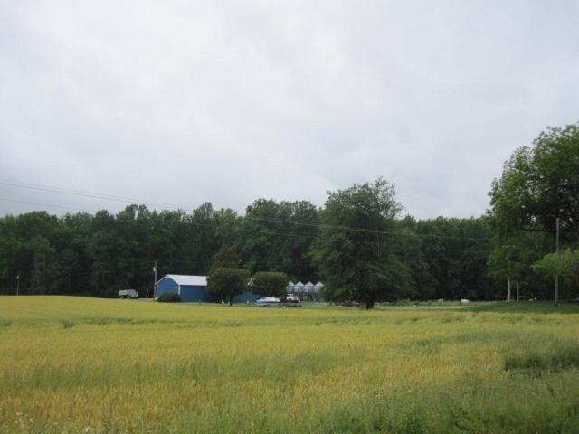 https://www.tranzon.com/propertyimages/55990_10108.jpg