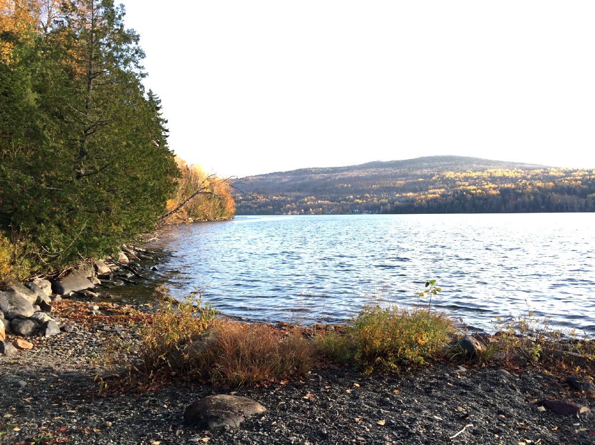 SOLD at auction Bankruptcy Trustee Sale Rangeley Lake Waterfront