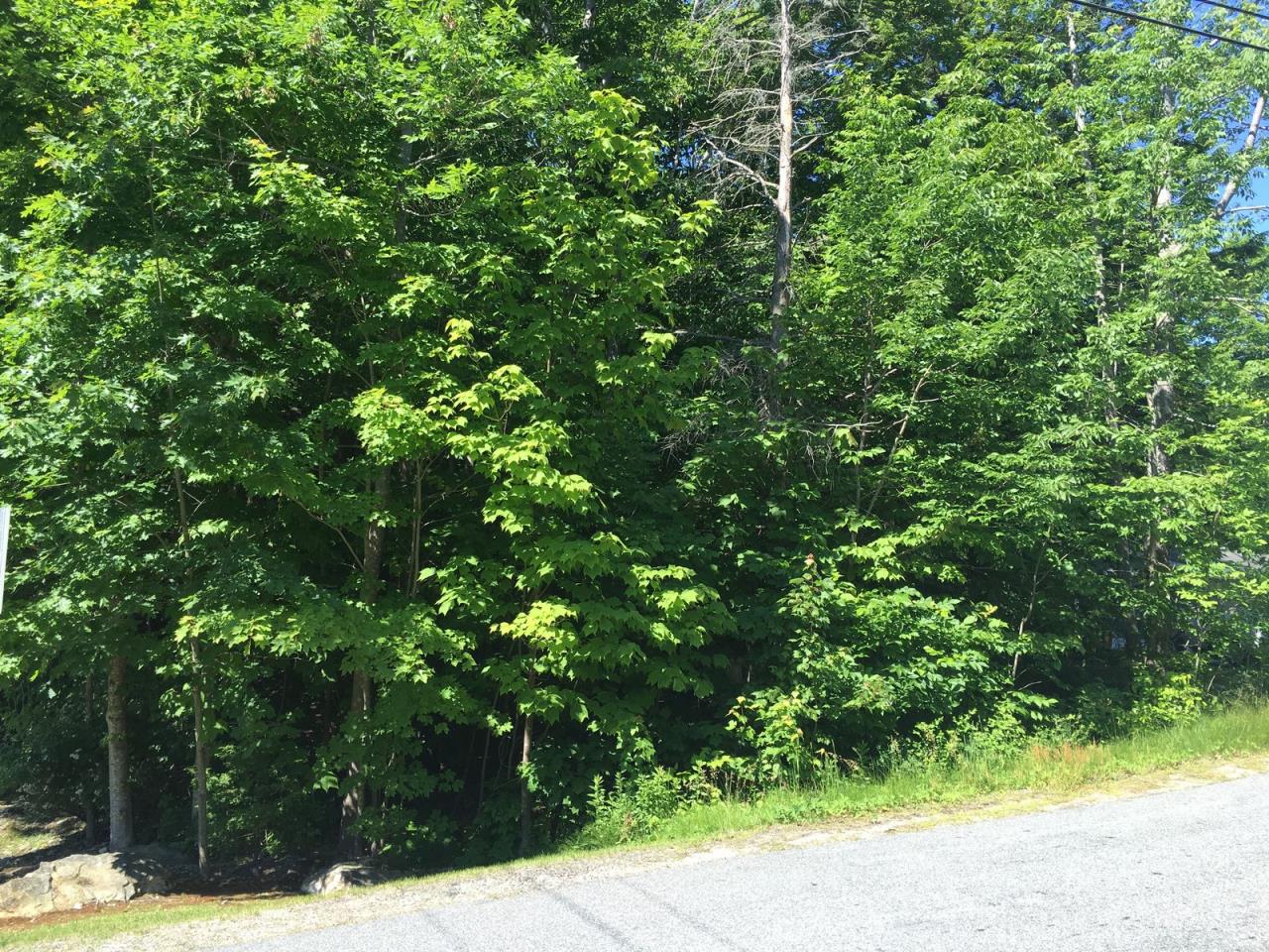 SOLD at auction Tax Acquired Residential Lot Freeport, ME